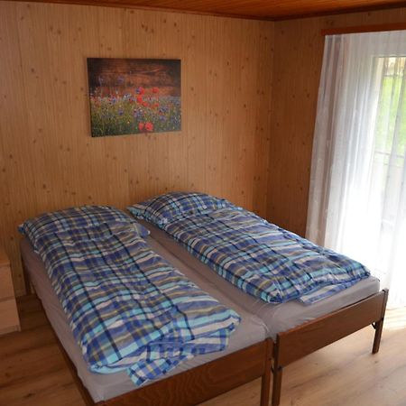 Grosse, Schoene Wohnung Im Gruenen بريغ المظهر الخارجي الصورة